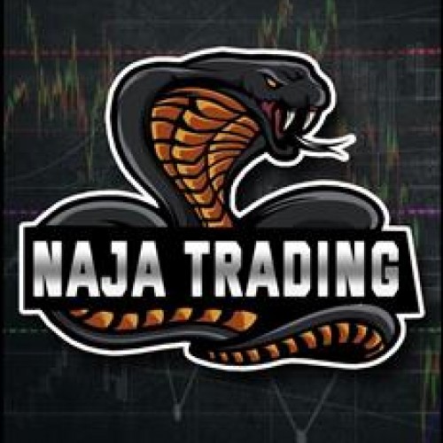 Naja Trading Group: Take Certo - Gabriel da Costa