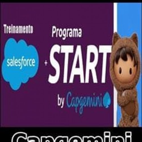 Treinamento Salesforce - Capgemini