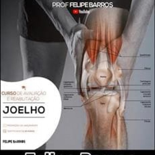 Avaliação e Reabilitação do Joelho - Prof Felipe Barros